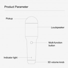 Portable BT Microphone Handheld KTV Music USB Type-C Recorder Speaker