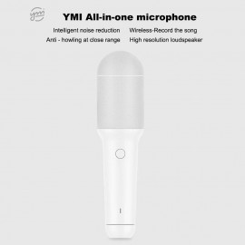 Portable BT Microphone Handheld KTV Music USB Type-C Recorder Speaker