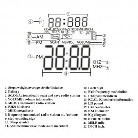 HRD-602 Portable Radio Receiver FM/AM Radio LCD Display Lock Button Pocket Radio with Earphone Sports Pedometer